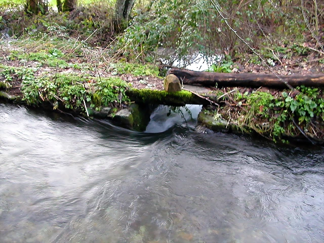 DSCN1238 DSCN1238