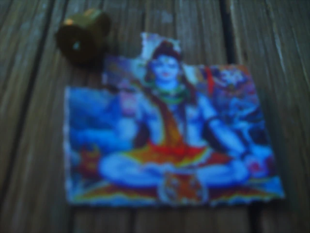 tripa buda
