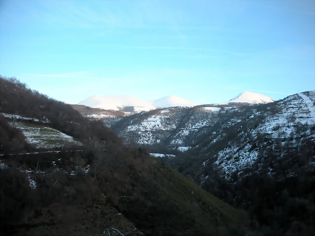 DSCN2585 DSCN2585