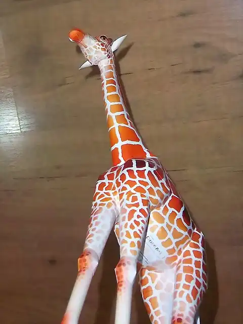 Girafa (24)