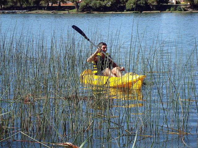 Navegando por los juncos del Rio Negro