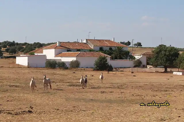 08, POR LA SAGASTINA 3, MARCA