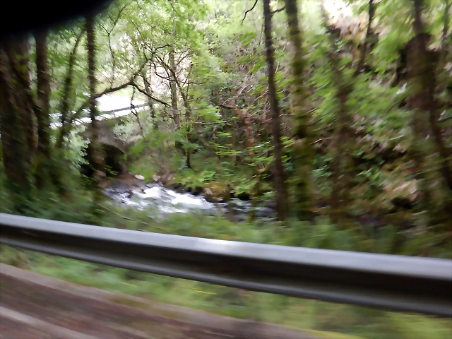 DSCN3344 DSCN3344