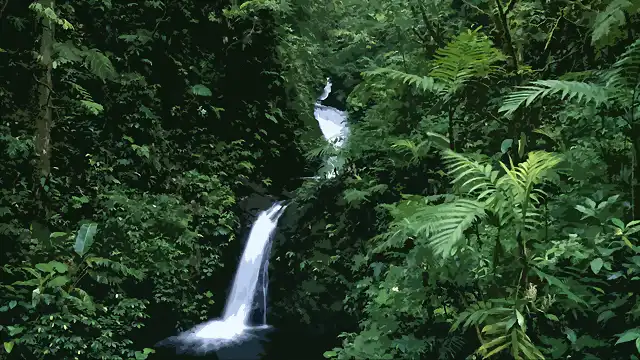 catarata