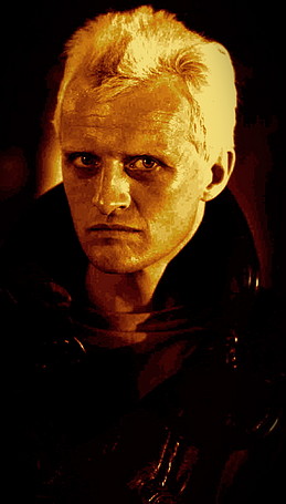 hauer1