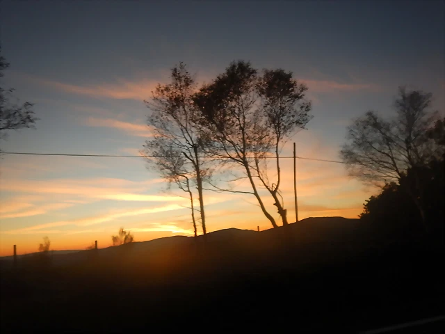 DSCN9382 DSCN9382