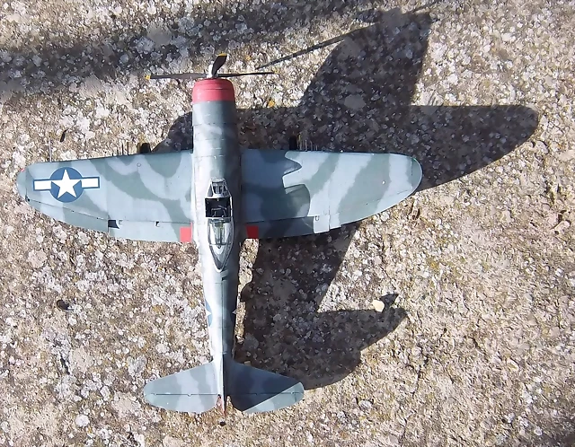 P47 (172) P47 (172)