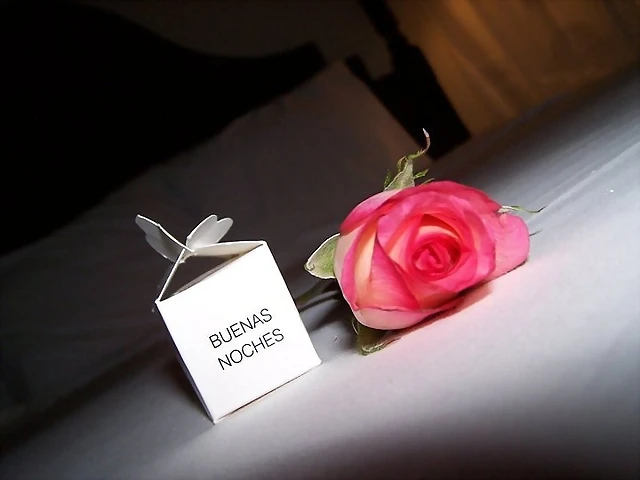 ROSA DE BUENAS NOCHES ROSA DE BUENAS NOCHES