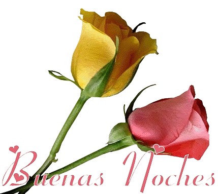 DOS ROSAS DE BUENAS NOCHES DOS ROSAS DE BUENAS NOCHES