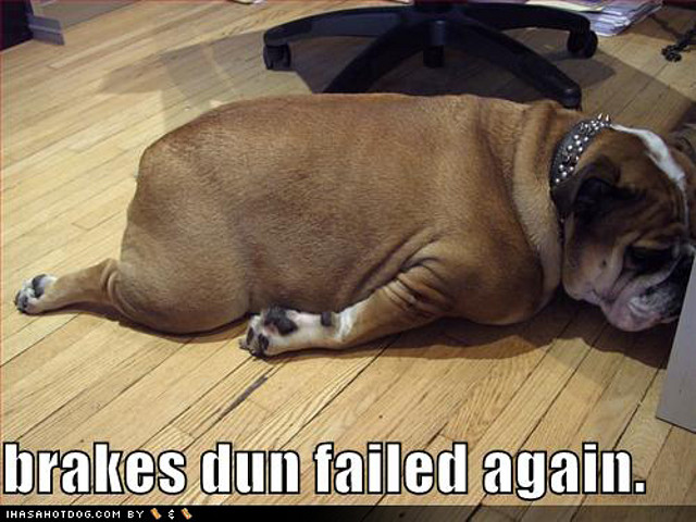 funny-dog-pictures-brakes-fail-bulldog funny-dog-pictures-brakes-fail-bulldog