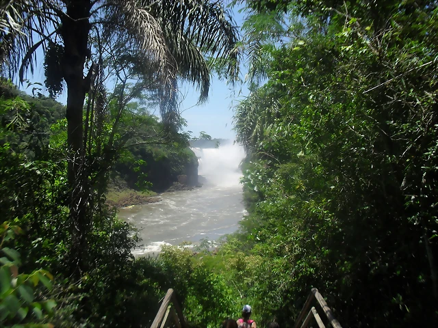 Viaje a Cataratas del 14 al 25 de diciembre 2013 275 Viaje a Cataratas del 14 al 25 de diciembre 2013 275