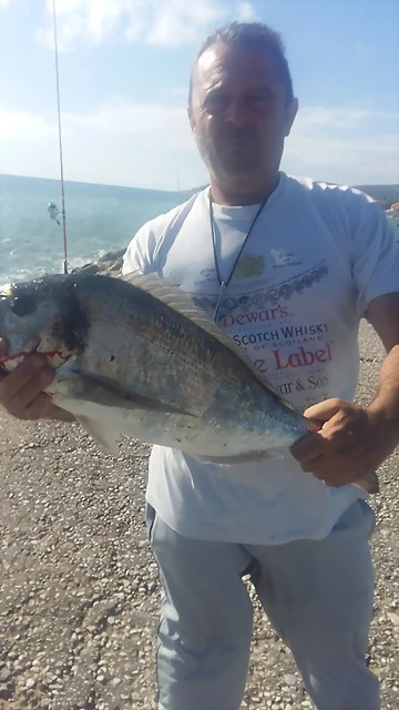 dorada3kg