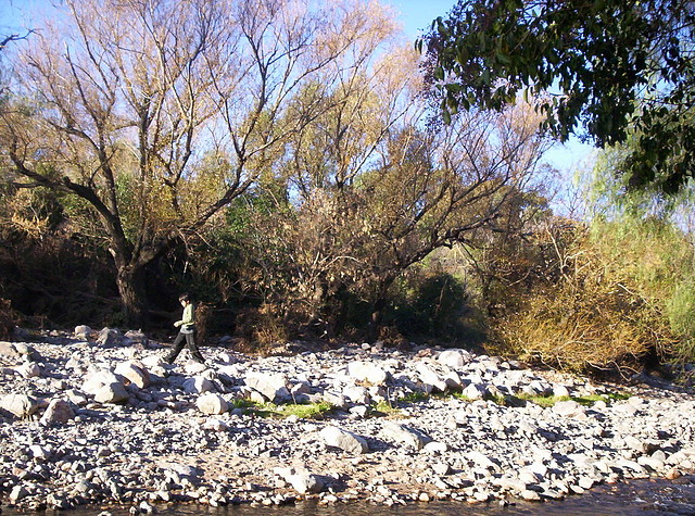 13 05 2008 Los Tres Puentes 045