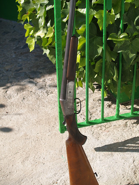 PA177397 PA177397