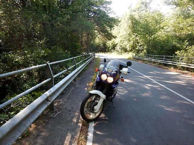 DSCN2318 DSCN2318