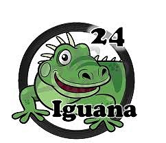 iguana