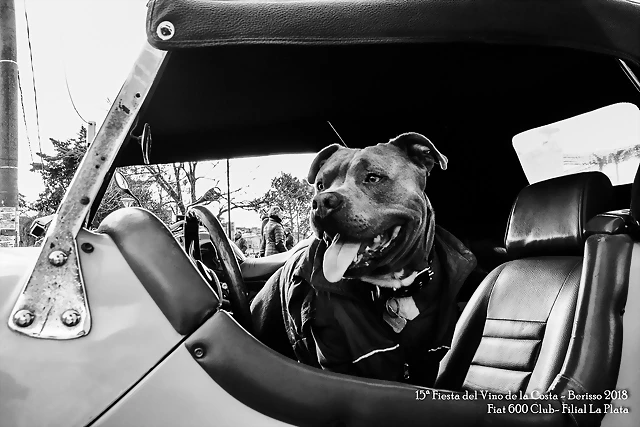 DSC_0095 DSC_0095