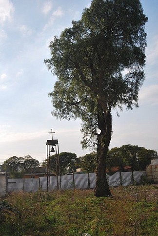 visita a terreno