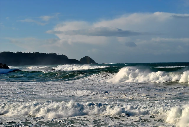 DSC_0589 DSC_0589