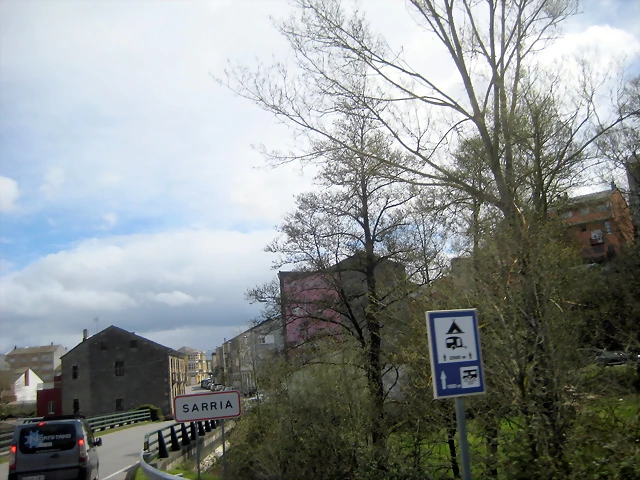 IMG_2450 IMG_2450