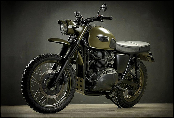 TRIUMPH+DESERT+CUSTOM+MOTORCYCLE-DINO-ROMANO-[1]