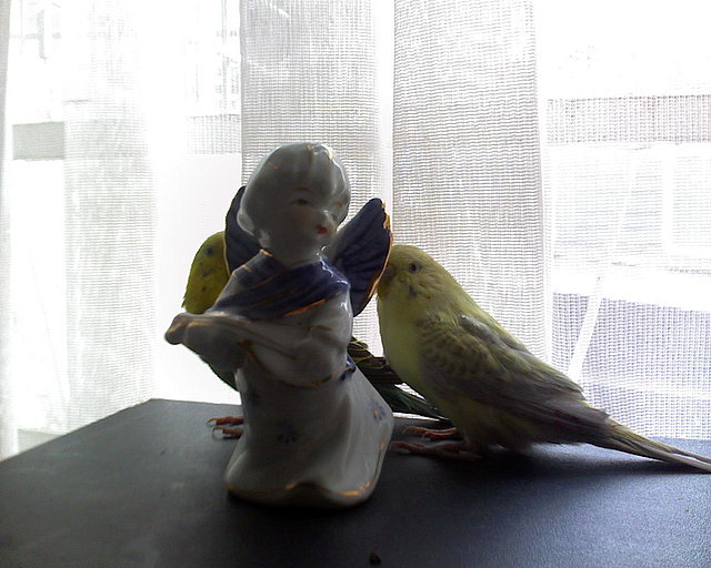 lindos lindos