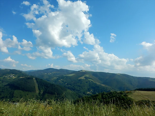 DSCN2396 DSCN2396