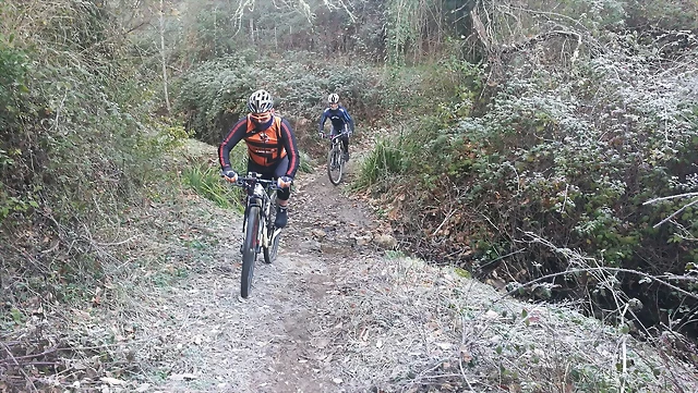 IMG-20170122-WA0024 IMG-20170122-WA0024
