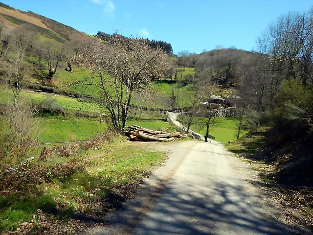 DSCN9078.JPEG DSCN9078.JPEG