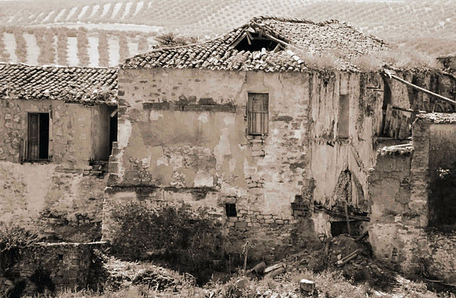 OLVERA SEPIA 004B