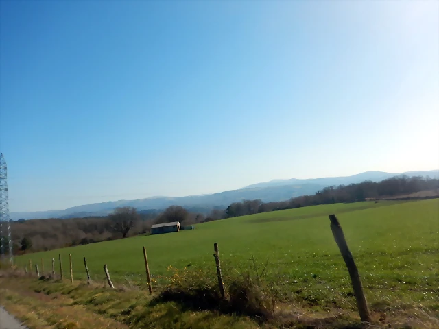 DSCN2798 DSCN2798
