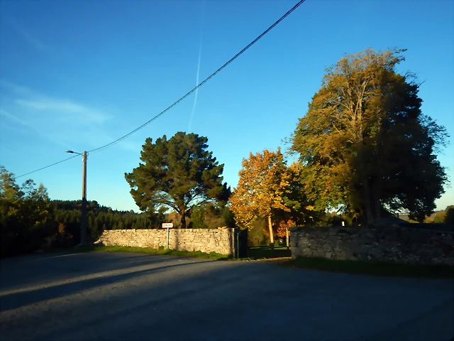 DSCN8964 DSCN8964
