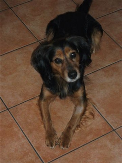 aramis1 aramis1