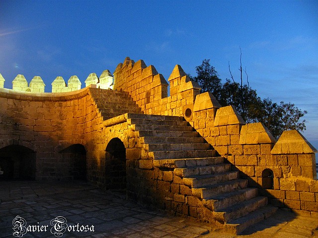 Alcazaba (4)