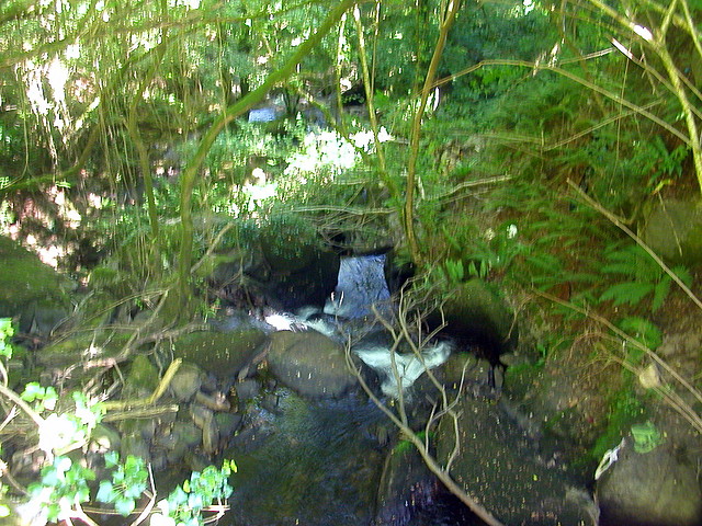 DSCN2411 DSCN2411