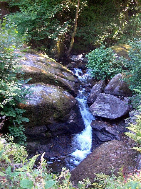 DSCN2414 DSCN2414