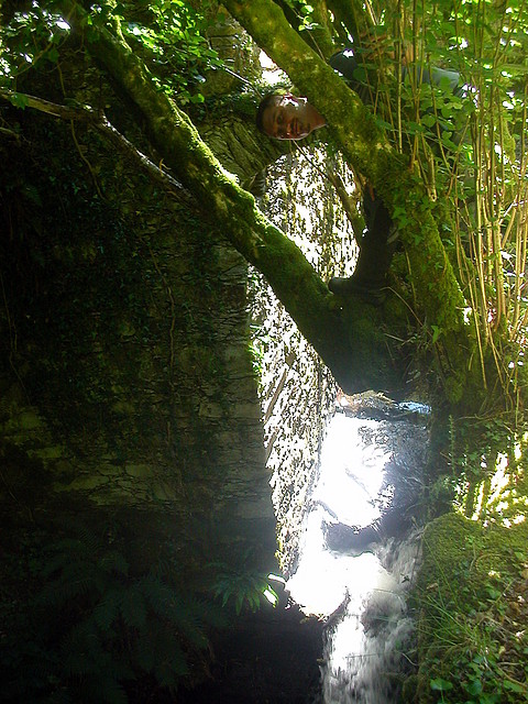 DSCN2409 DSCN2409