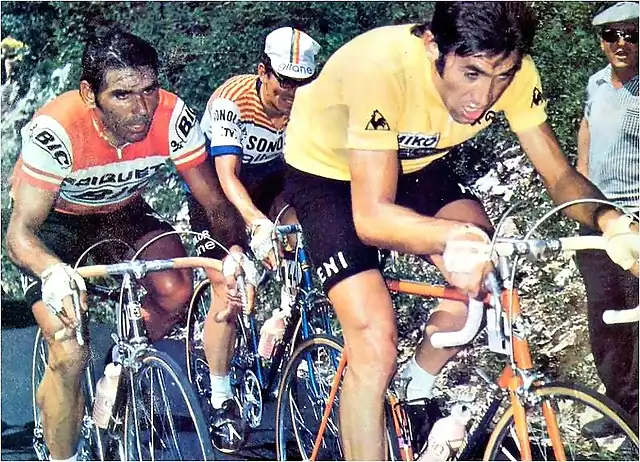 Agostinho-Tour1974-Merckx