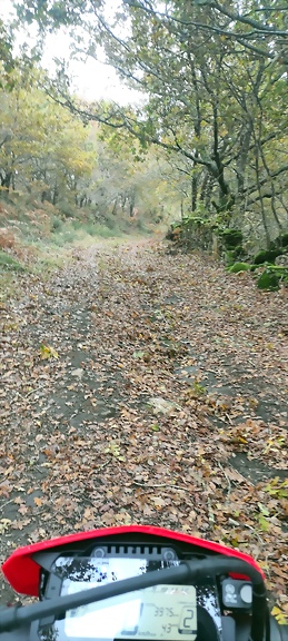 IMG_20231112_165223 IMG_20231112_165223