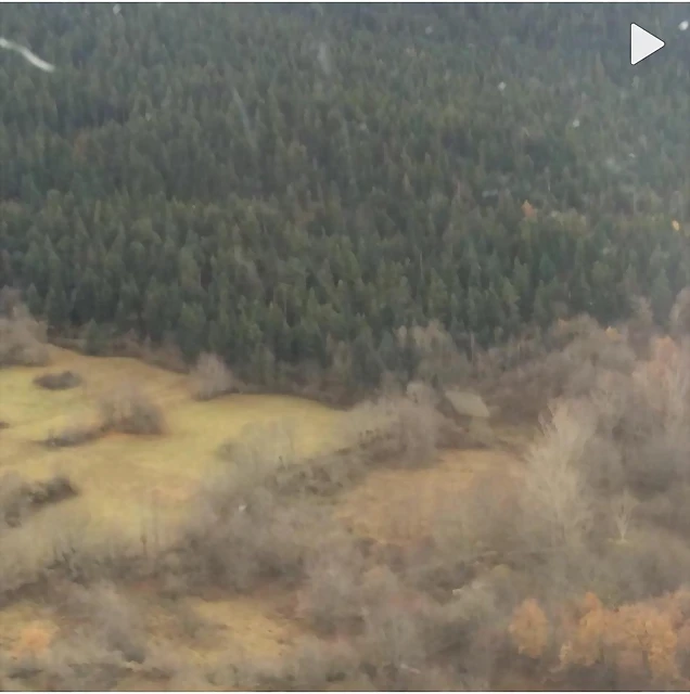 Video instagram 28-11-2014