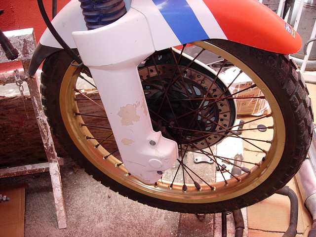 piloto 001 piloto 001