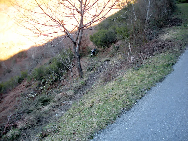 DSCN3015 DSCN3015
