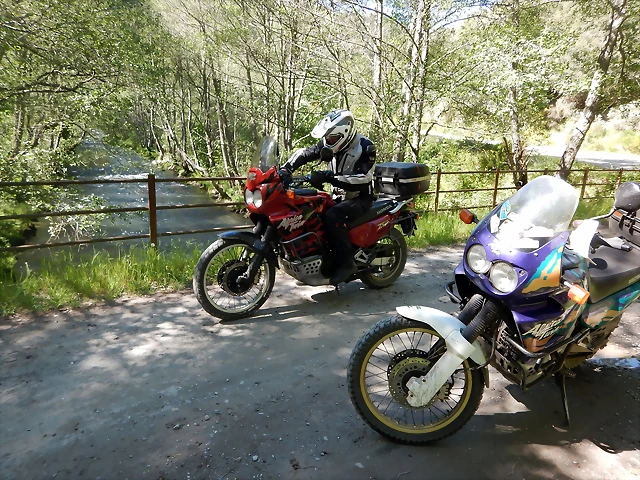 DSCN1173 DSCN1173