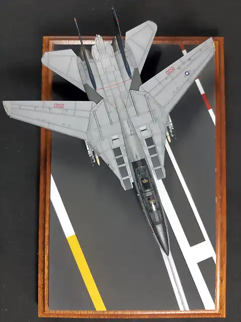 F-14Foto2