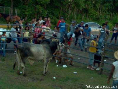 fiesta piedra del sol