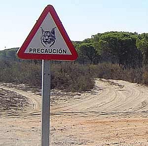 señal señal