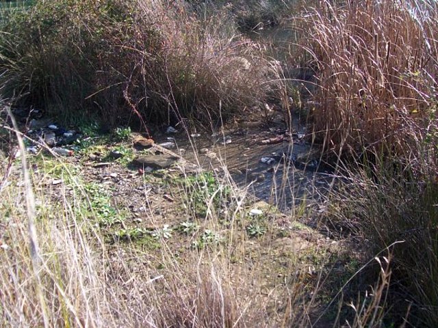 Contaminacion aguas en M. de RT.-05.02.10