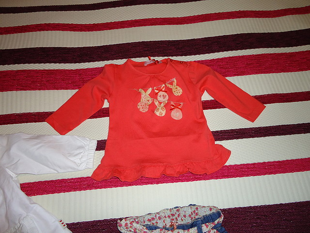 DSC01384 DSC01384