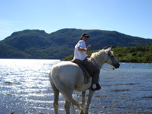 DSC08931 DSC08931