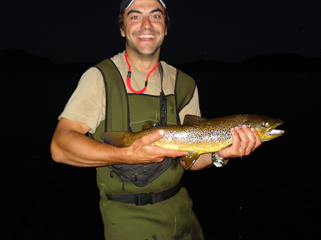 DSC08934 DSC08934